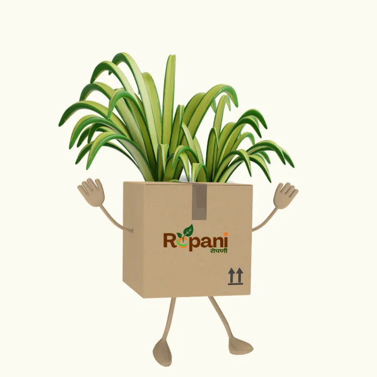 about product