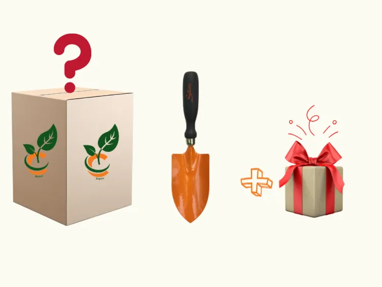 about product