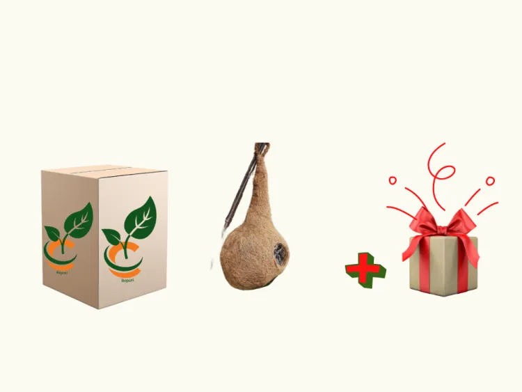 about product