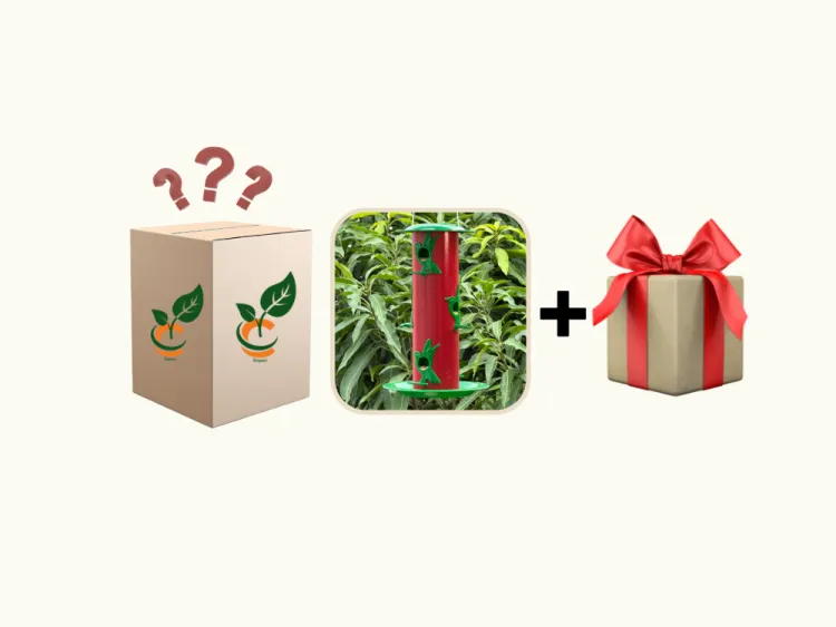 about product