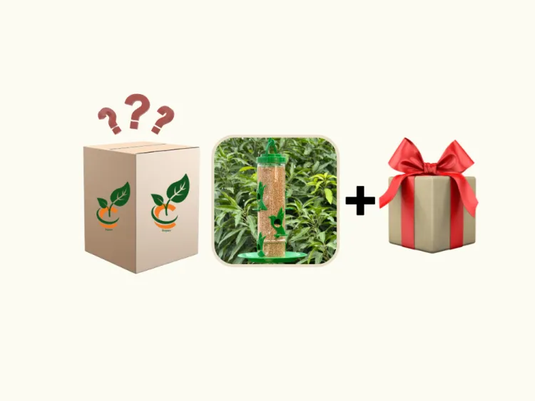 about product
