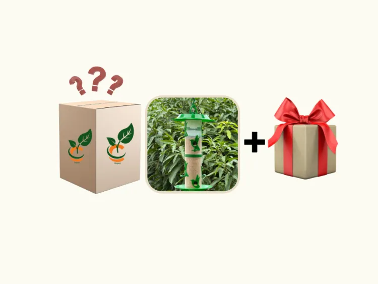 about product