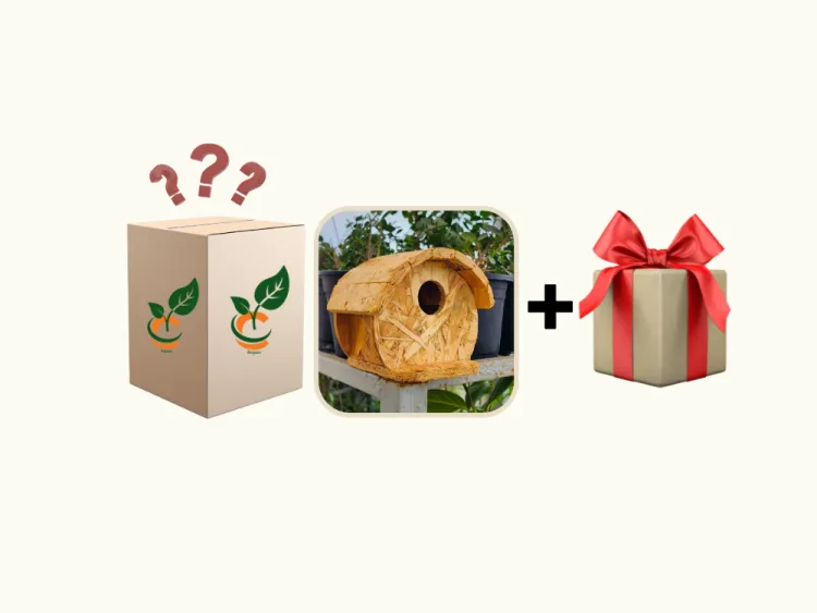 about product