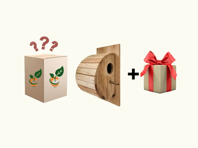 about product