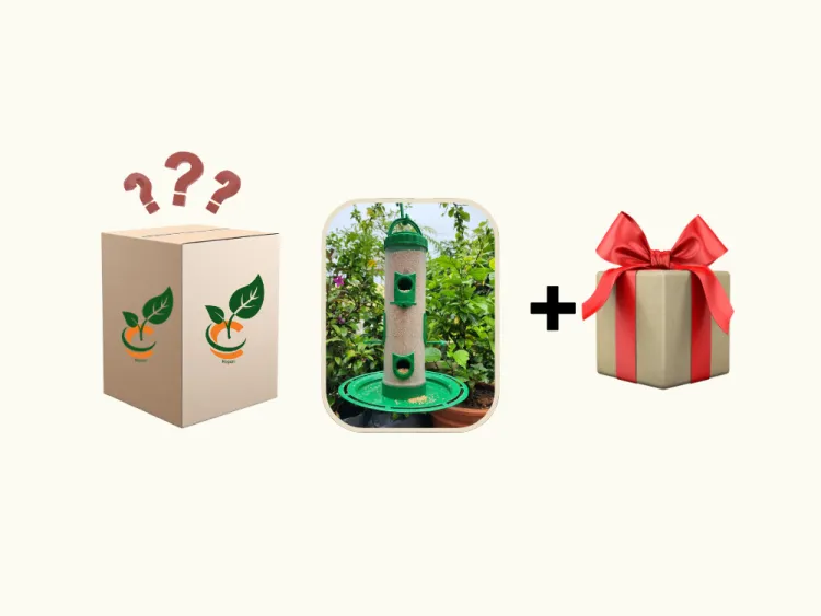 about product