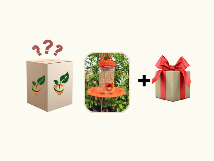 about product
