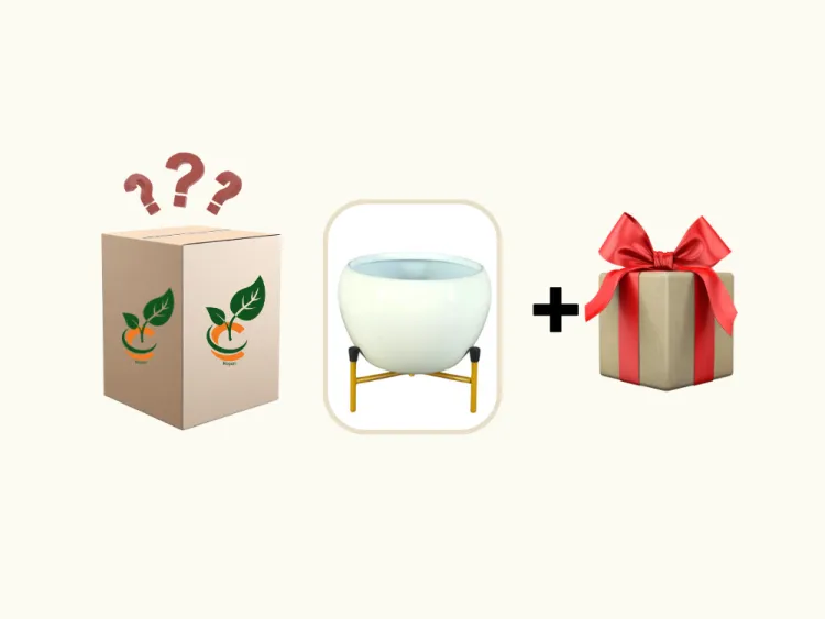 about product