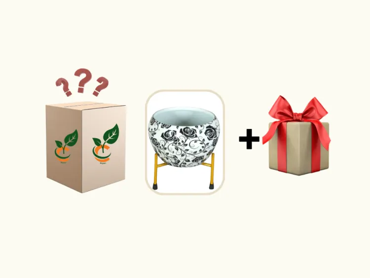 about product