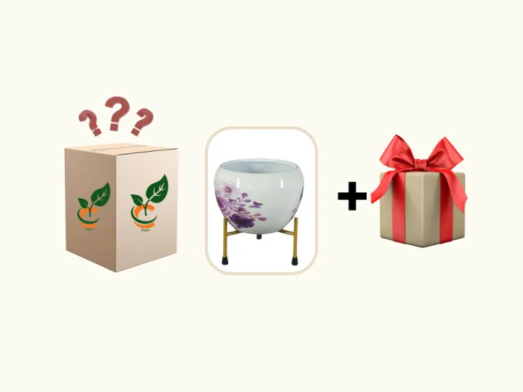 about product
