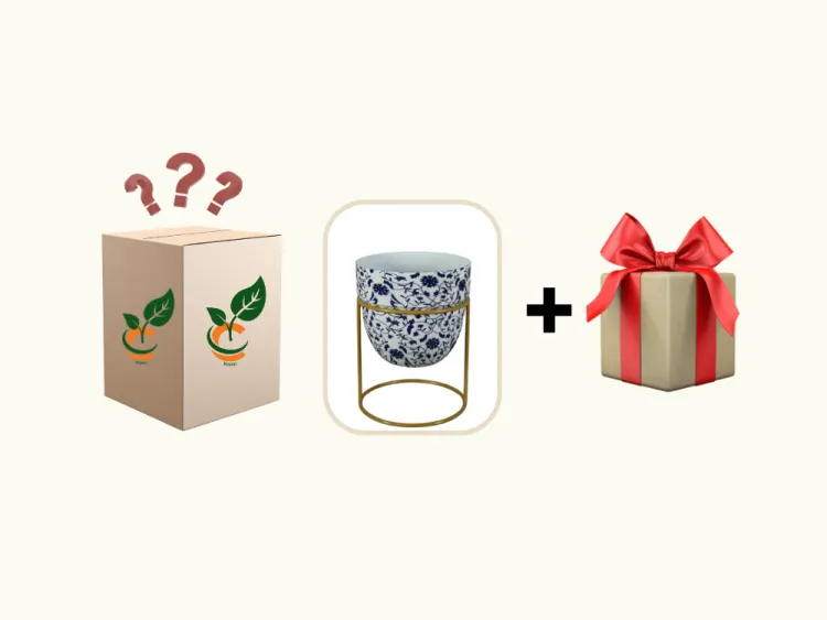 about product