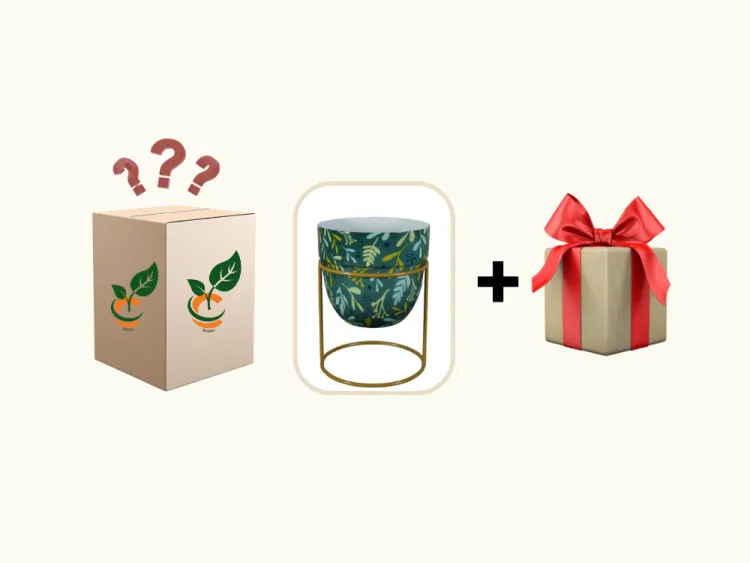 about product