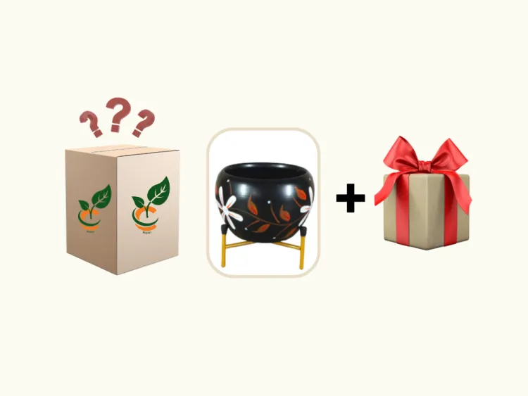 about product