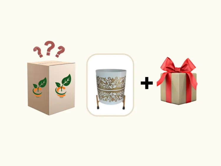 about product