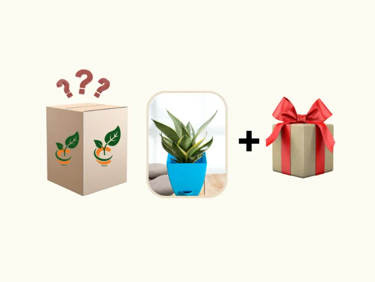 about product