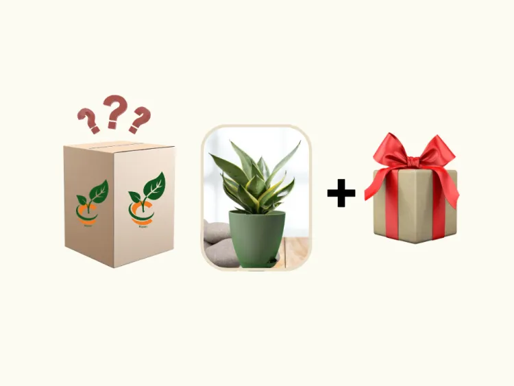 about product