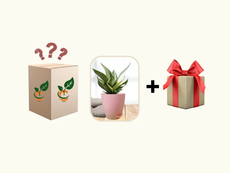 about product