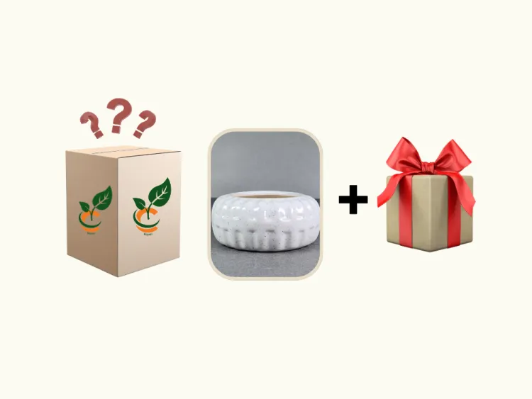 about product