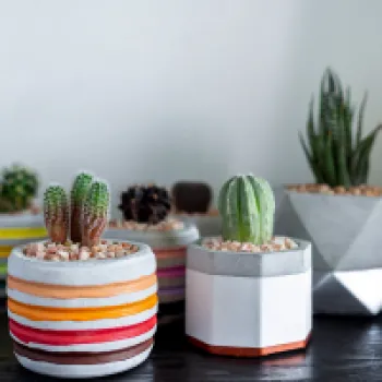 Pots & Planters