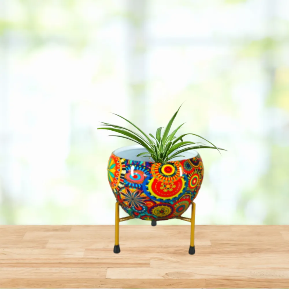 product-gallery