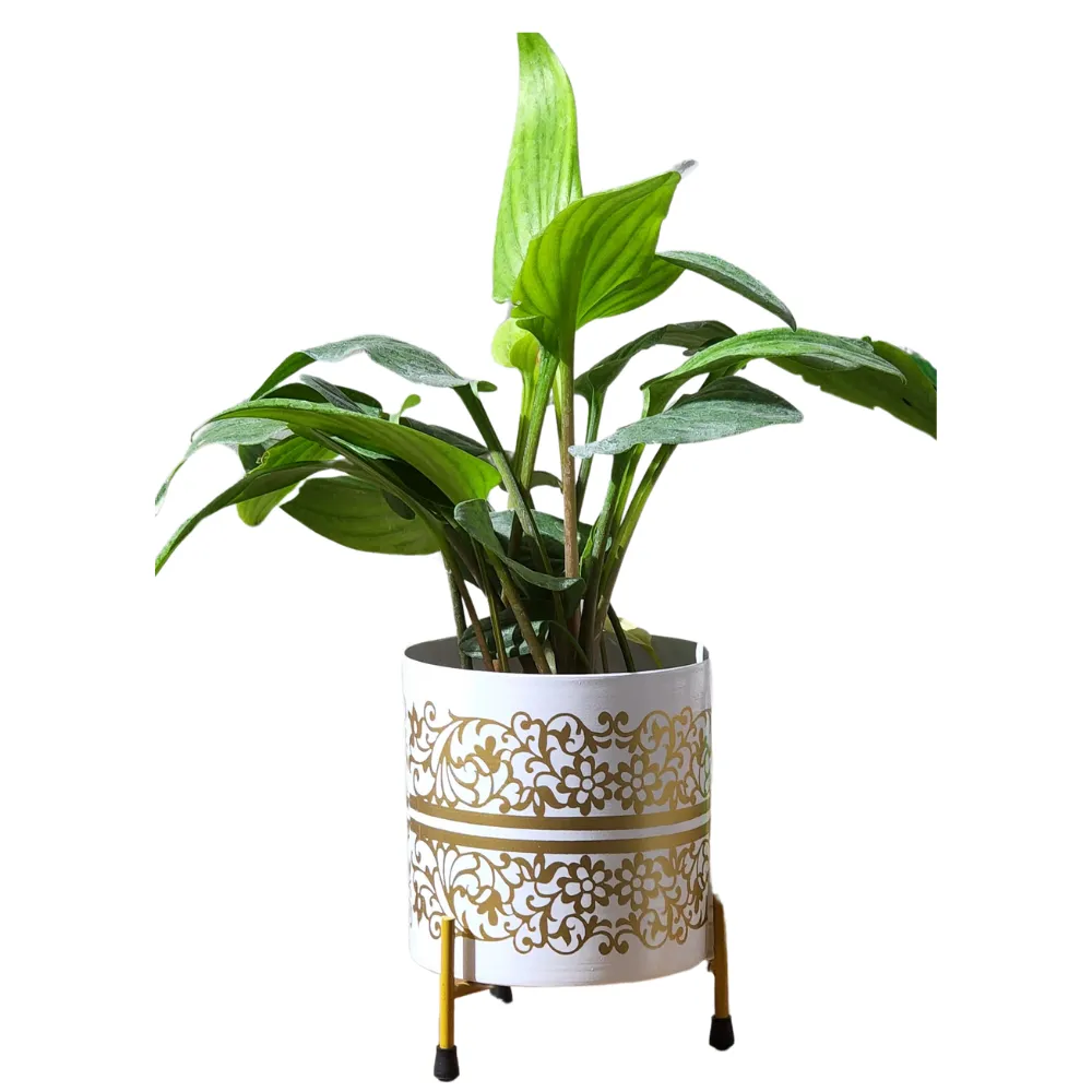 product-gallery
