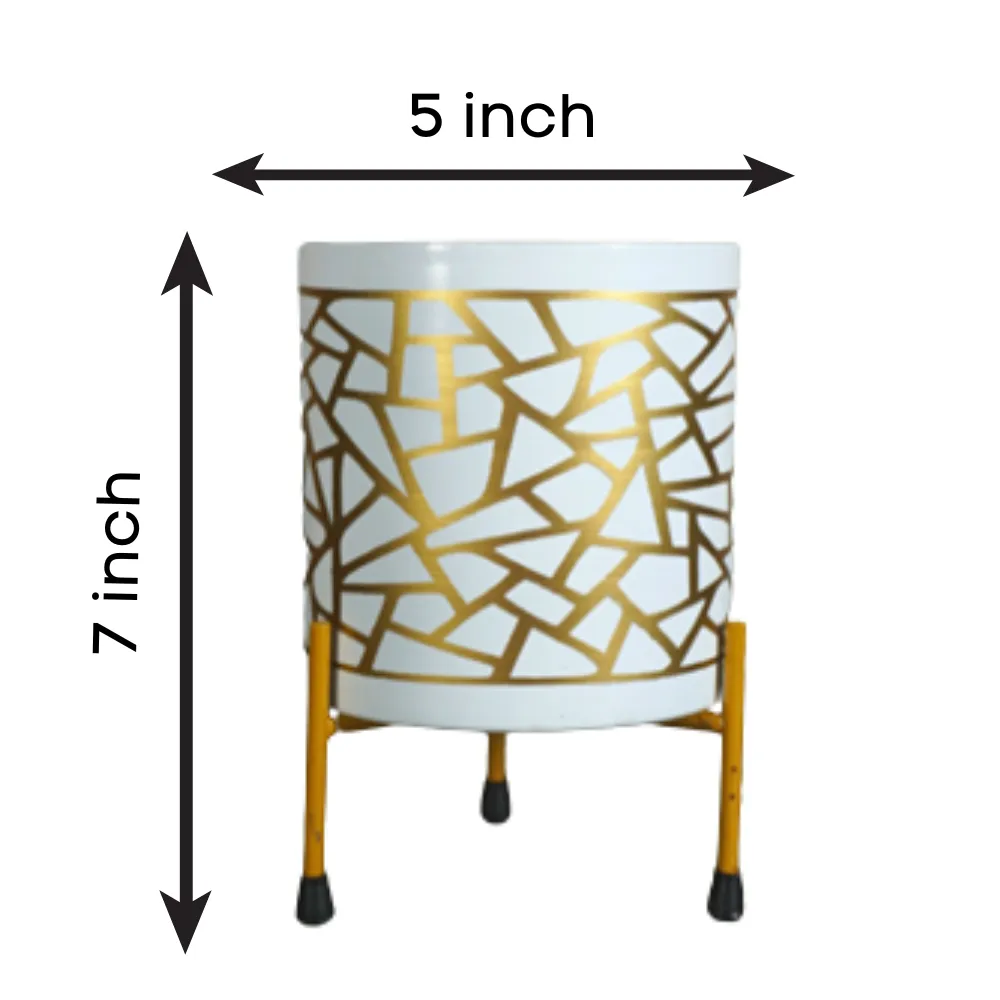 product-gallery