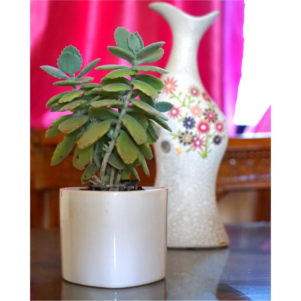 product-gallery