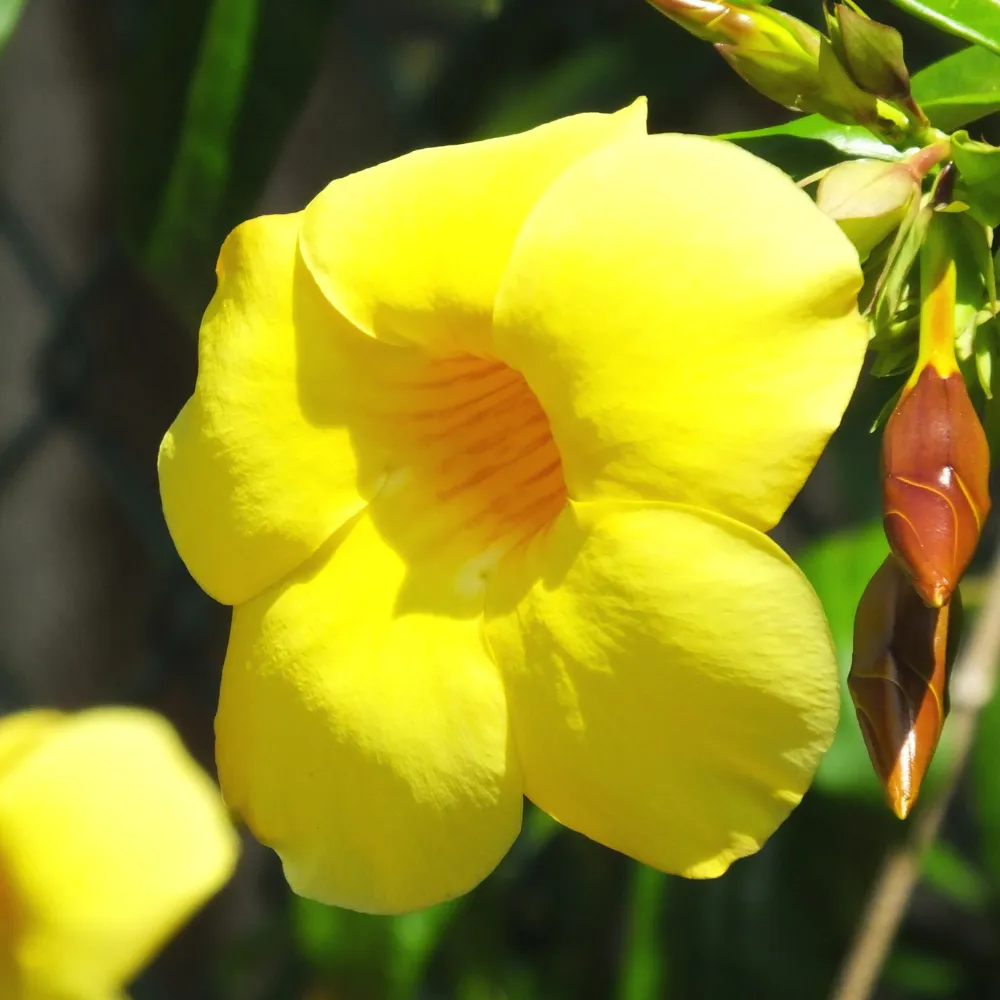 product-gallery