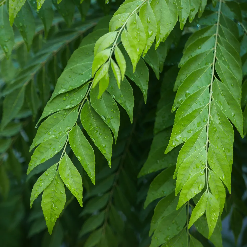 product-gallery
