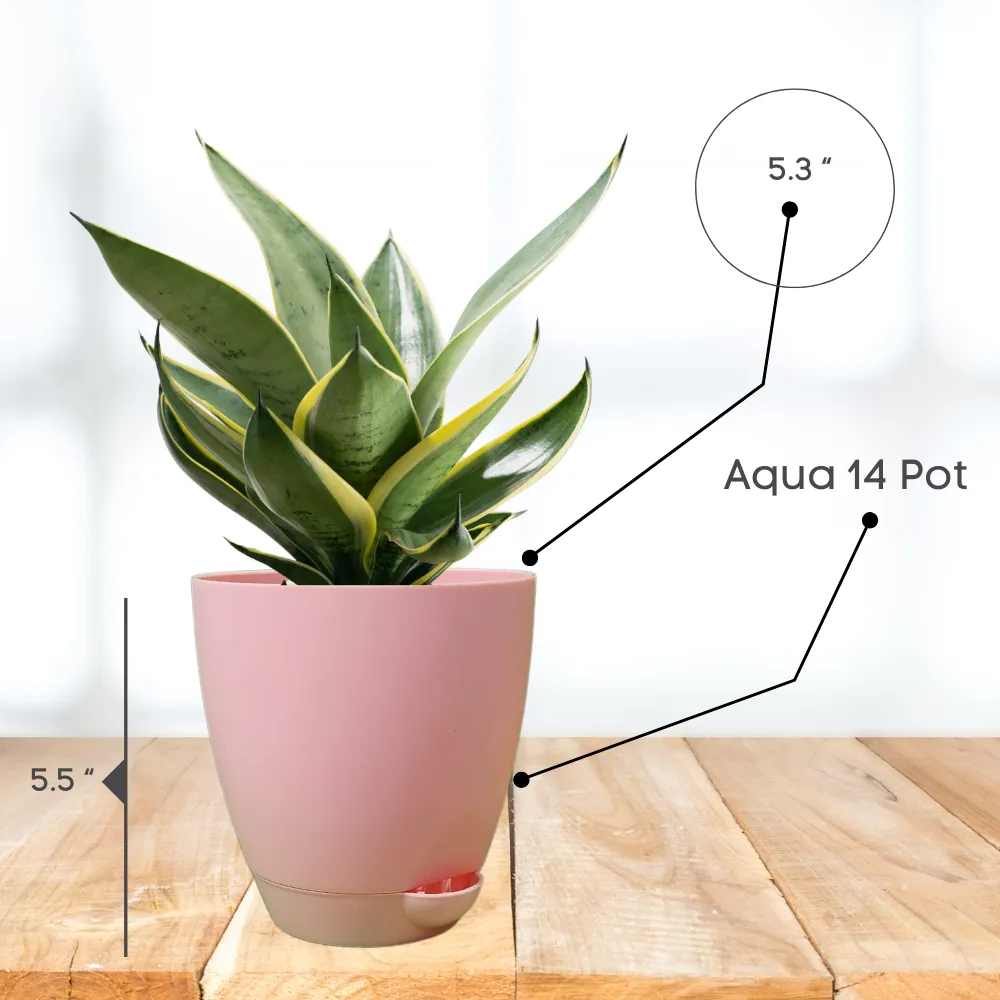 product-gallery