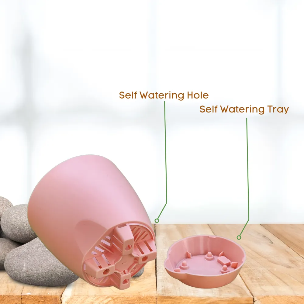 product-gallery
