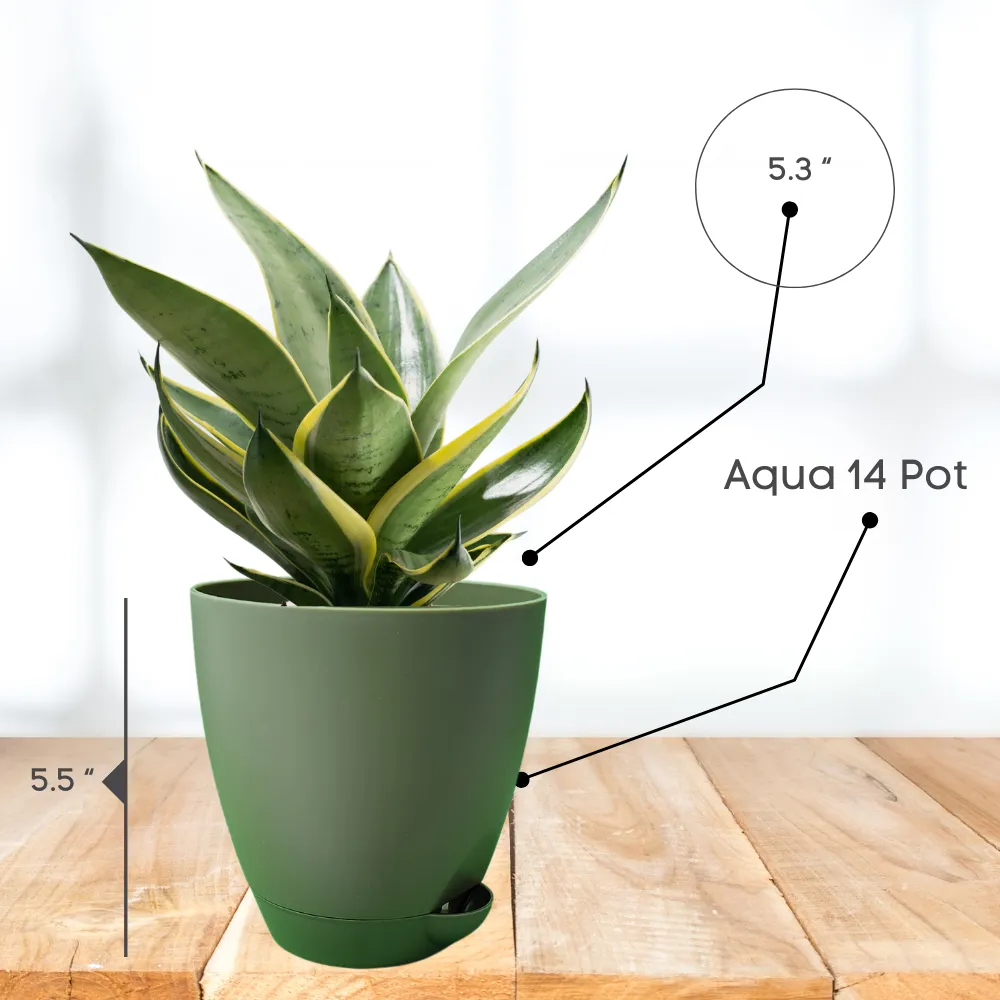 product-gallery