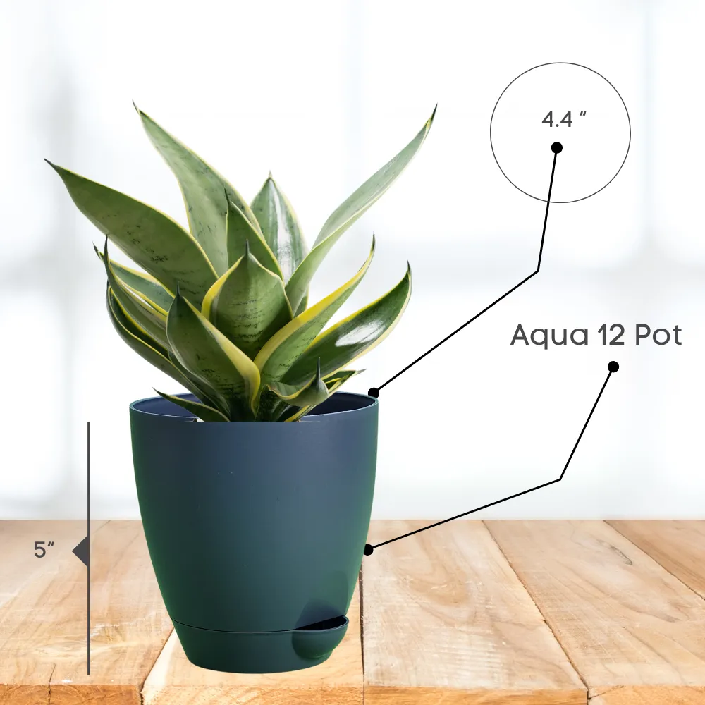 product-gallery
