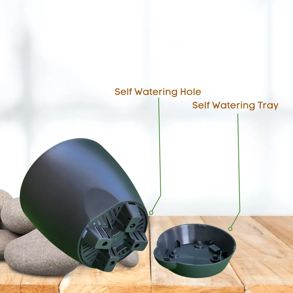 product-gallery
