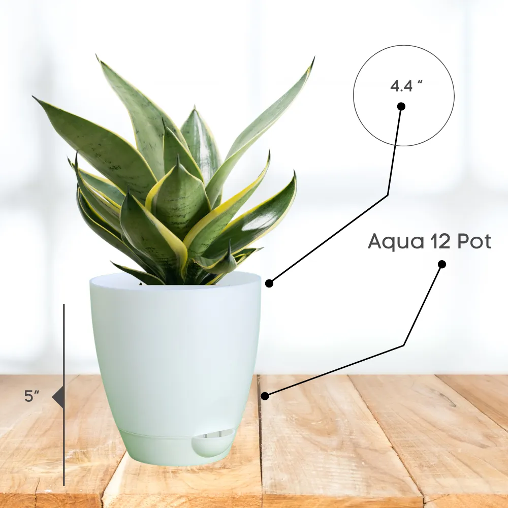 product-gallery