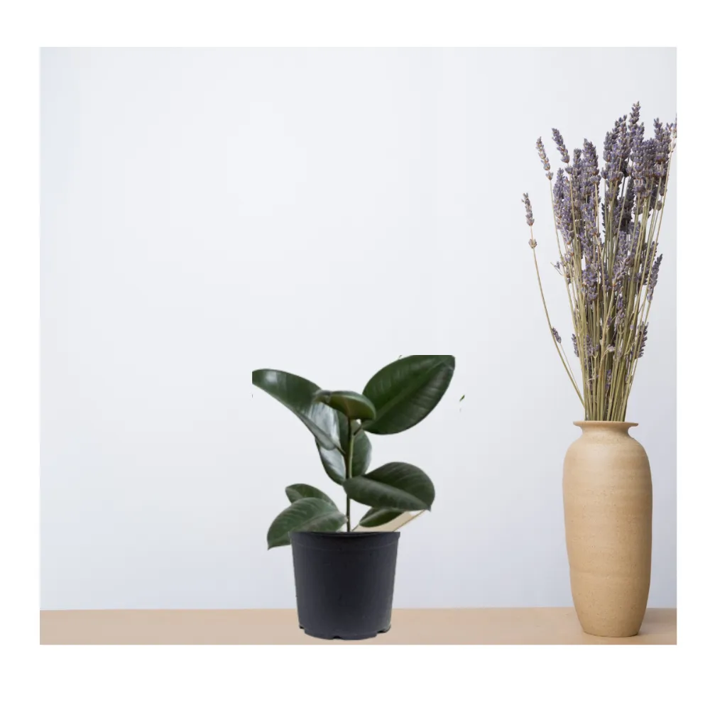 product-gallery