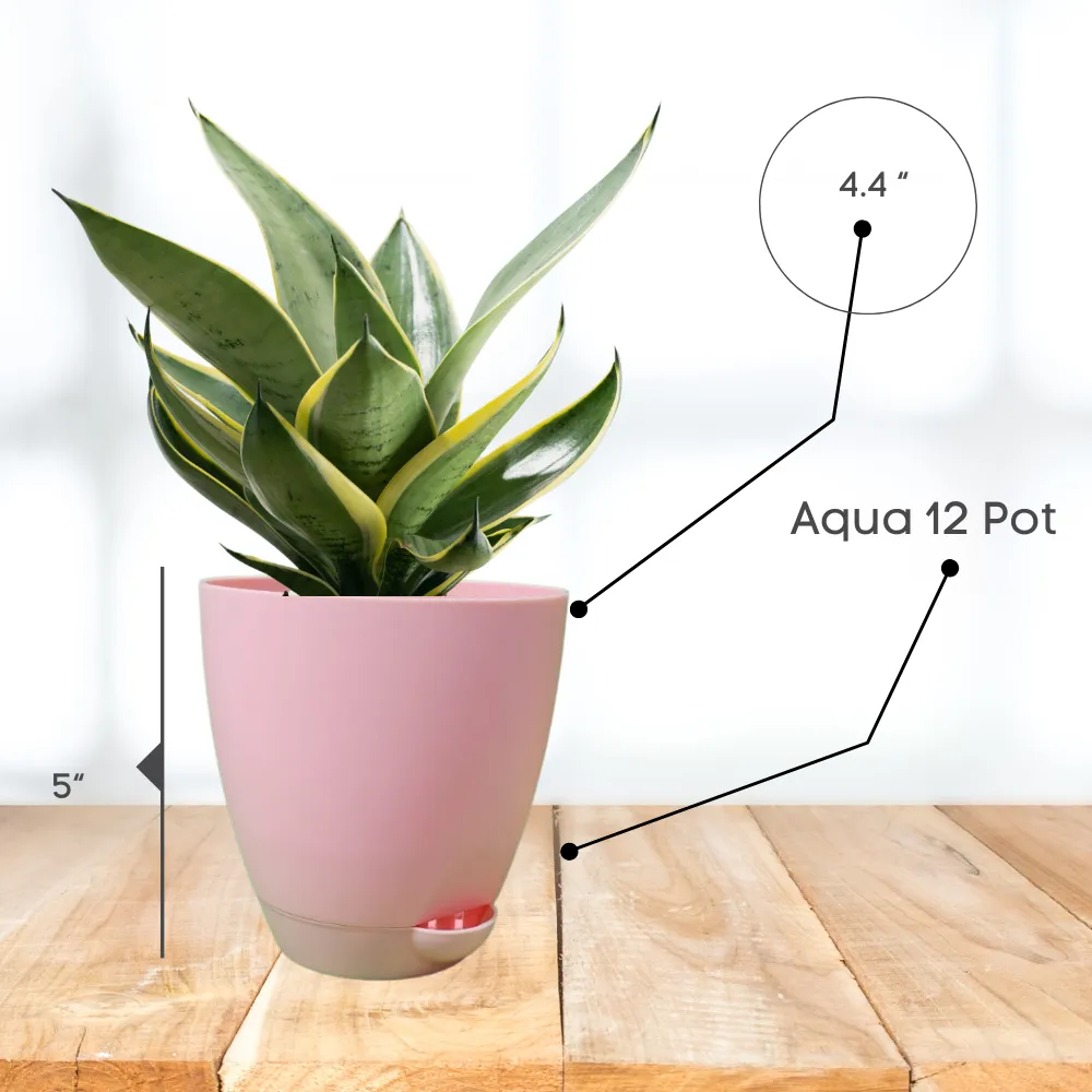 product-gallery