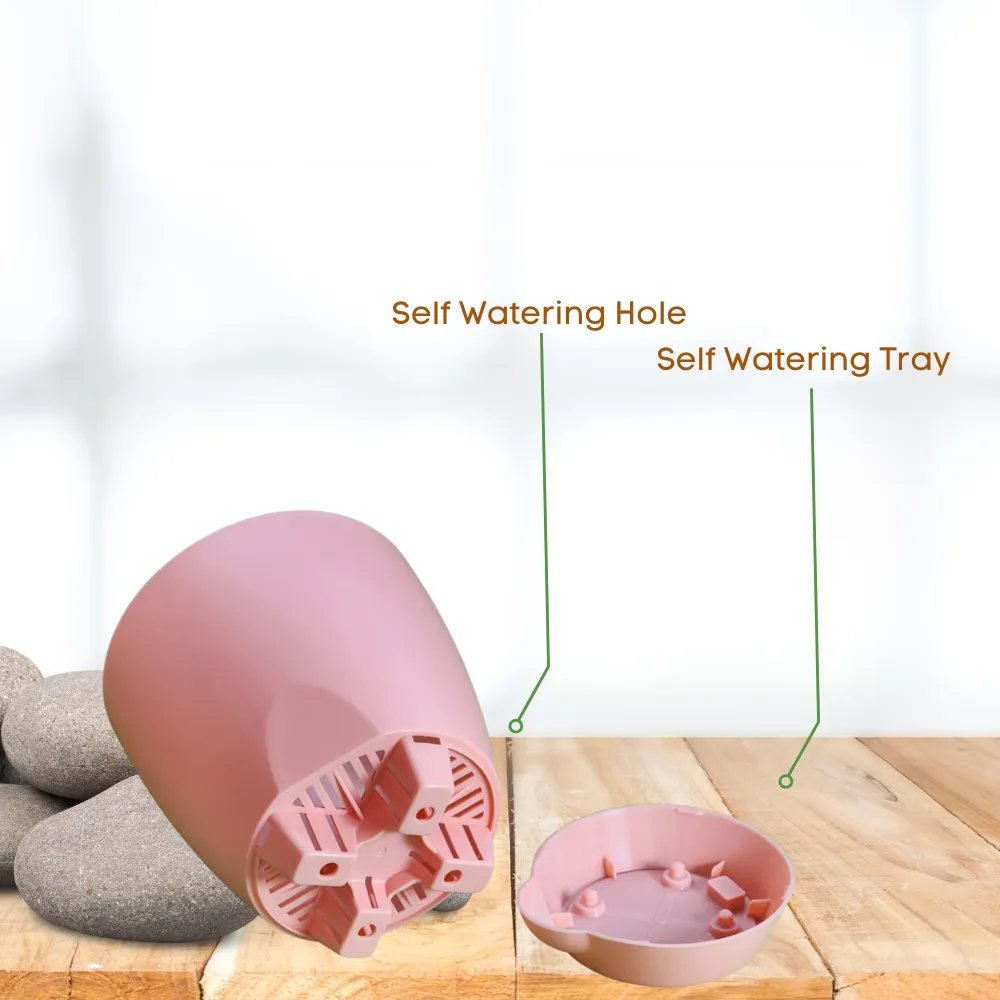 product-gallery