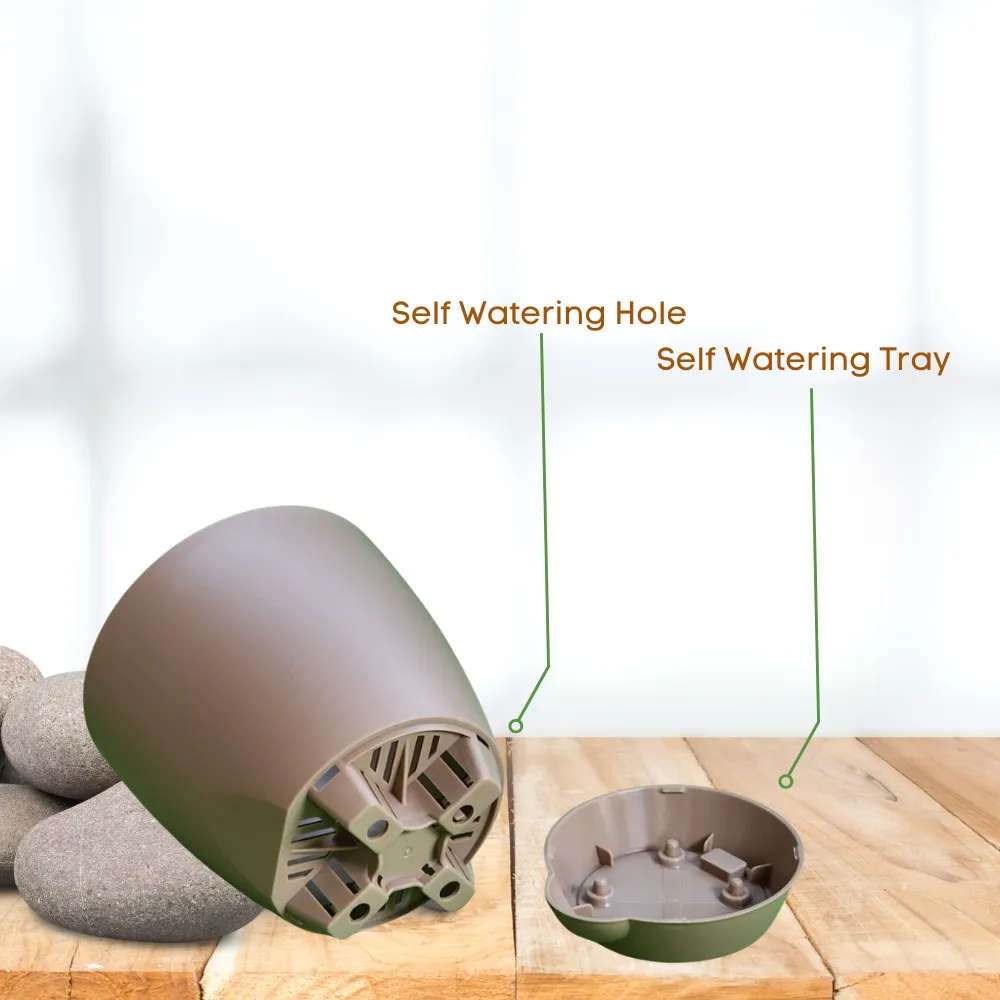 product-gallery