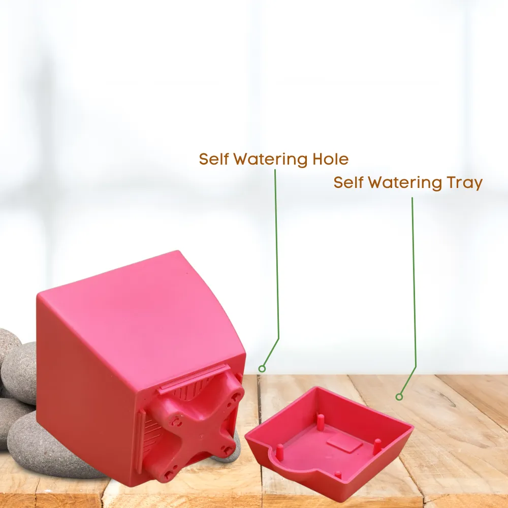 product-gallery