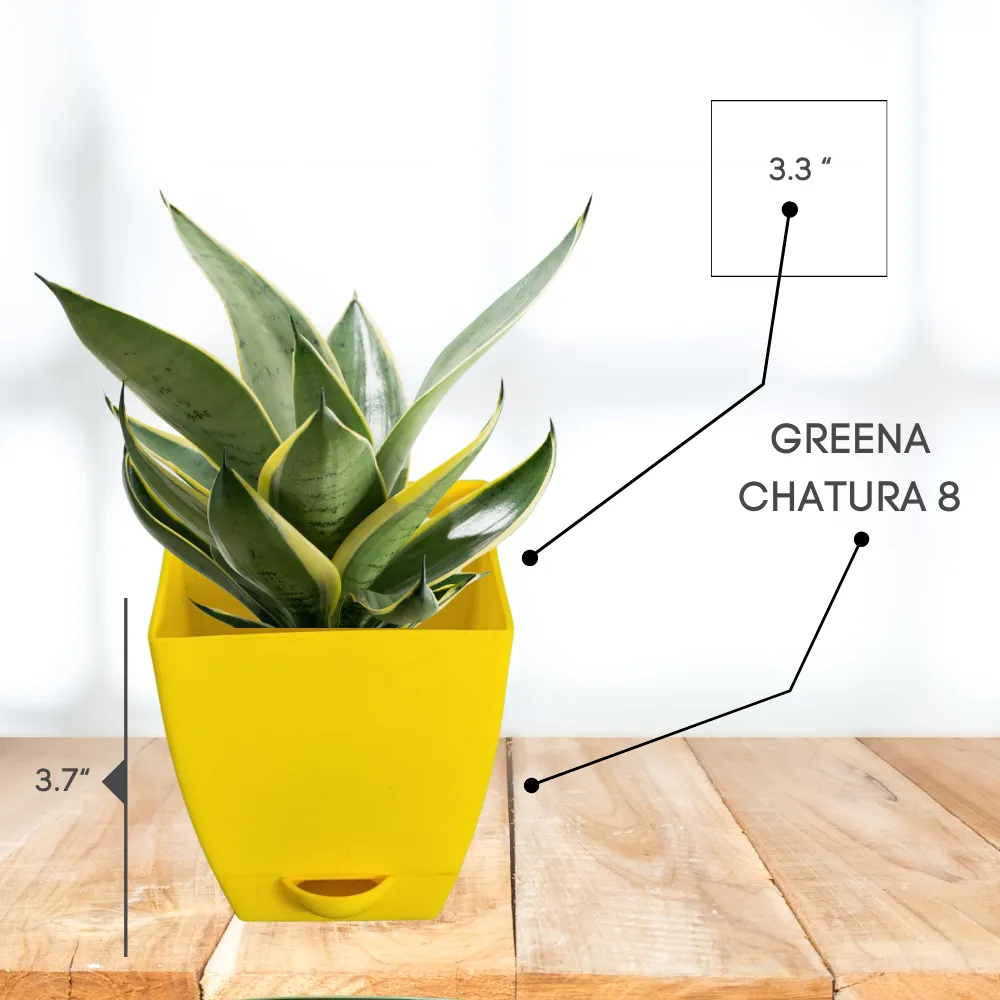 product-gallery