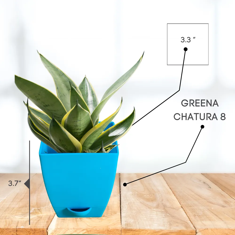product-gallery