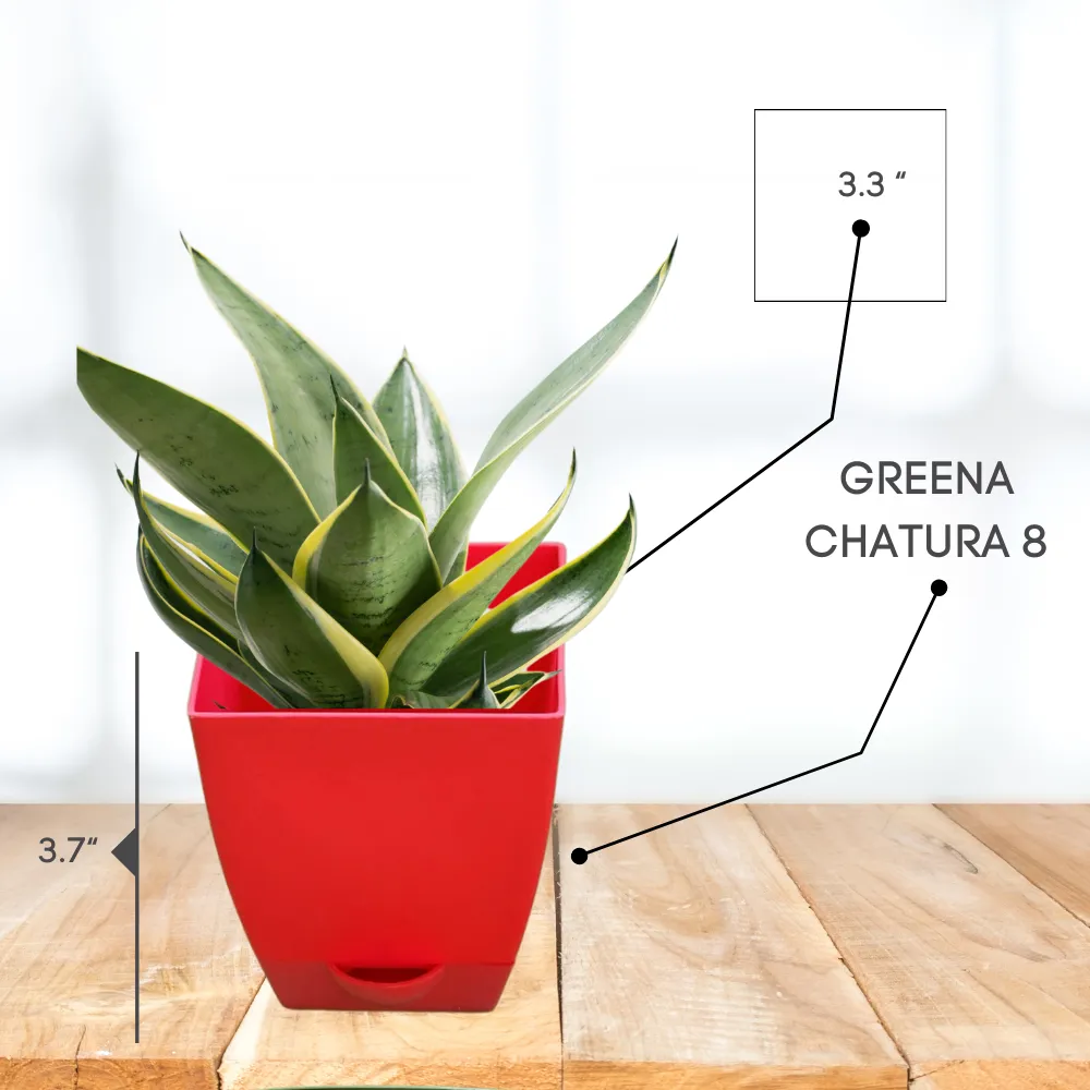 product-gallery