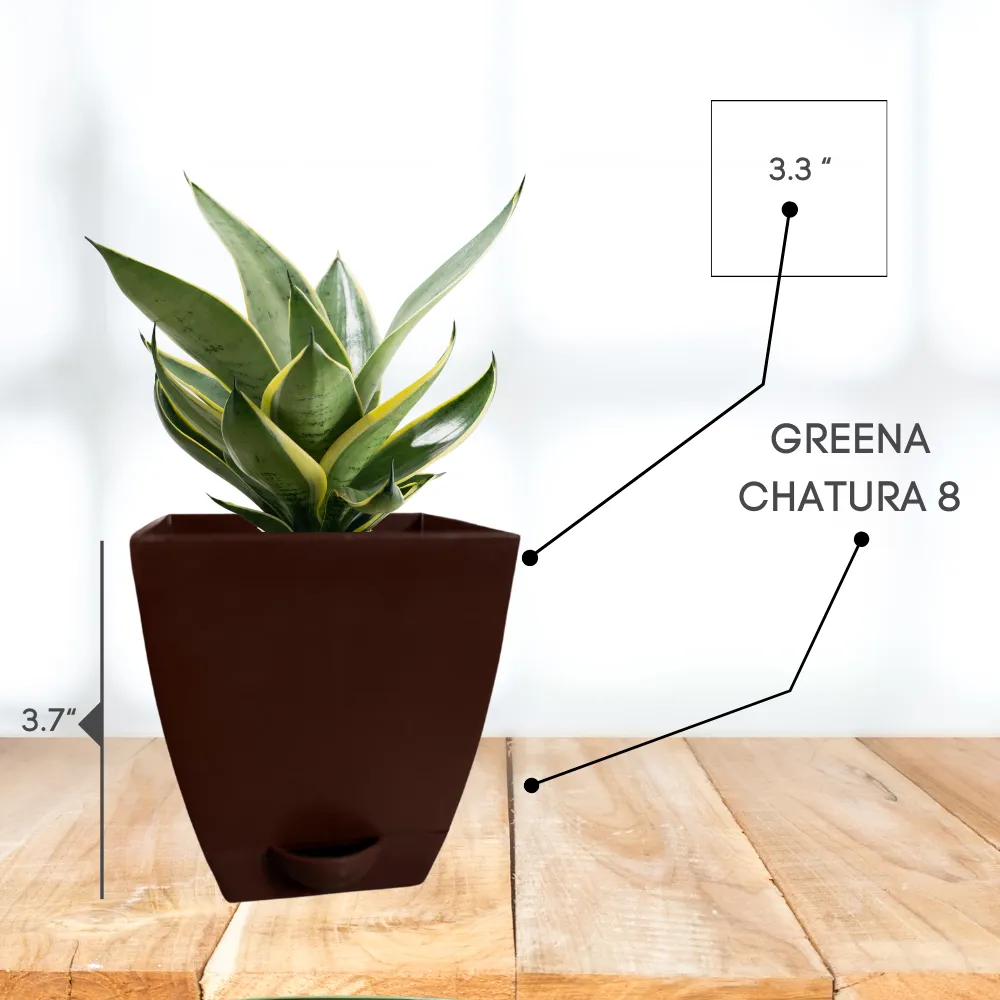 product-gallery