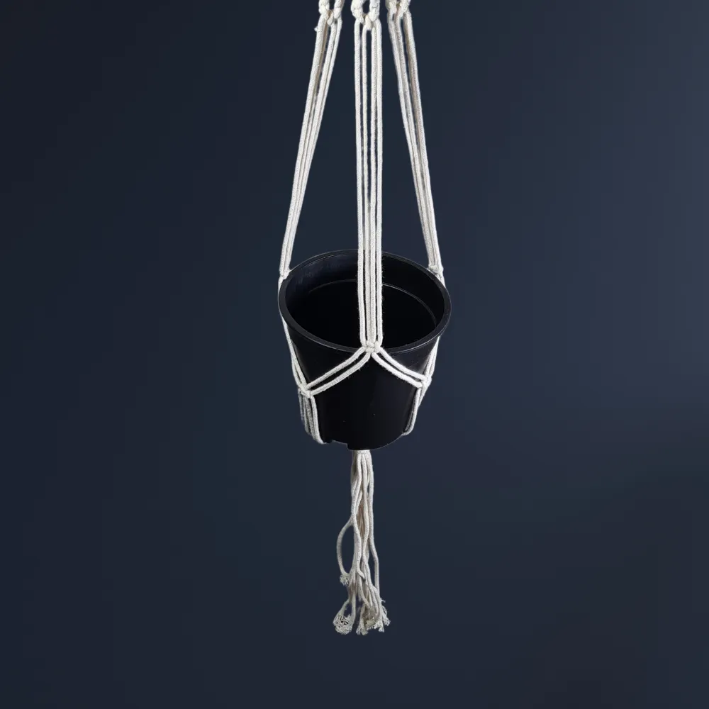 product-gallery