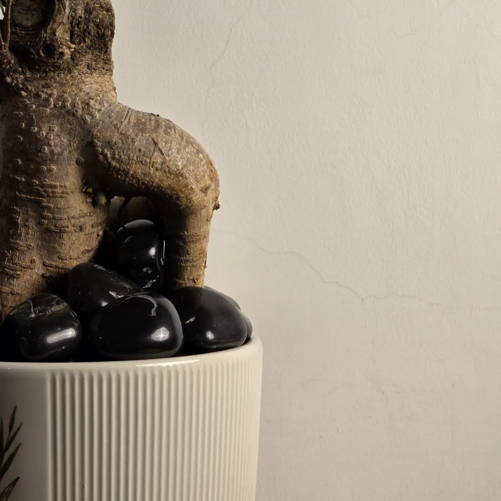 product-gallery