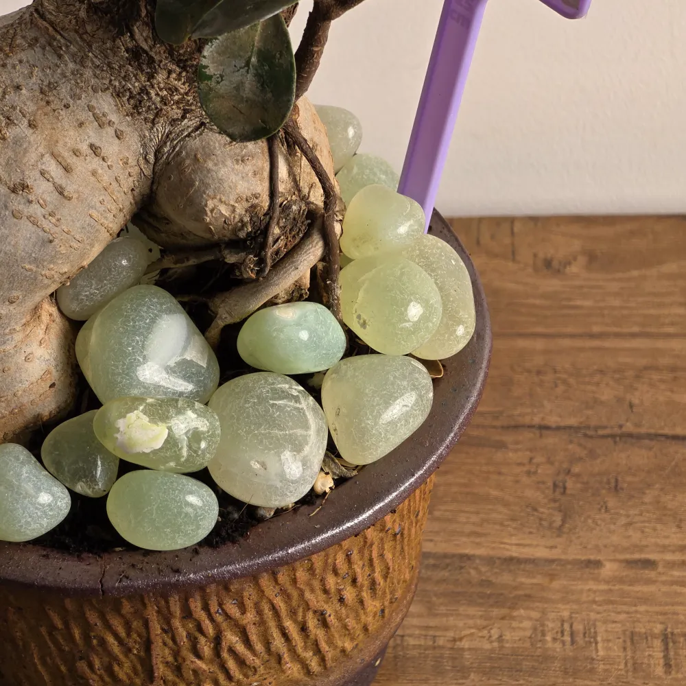 product-gallery