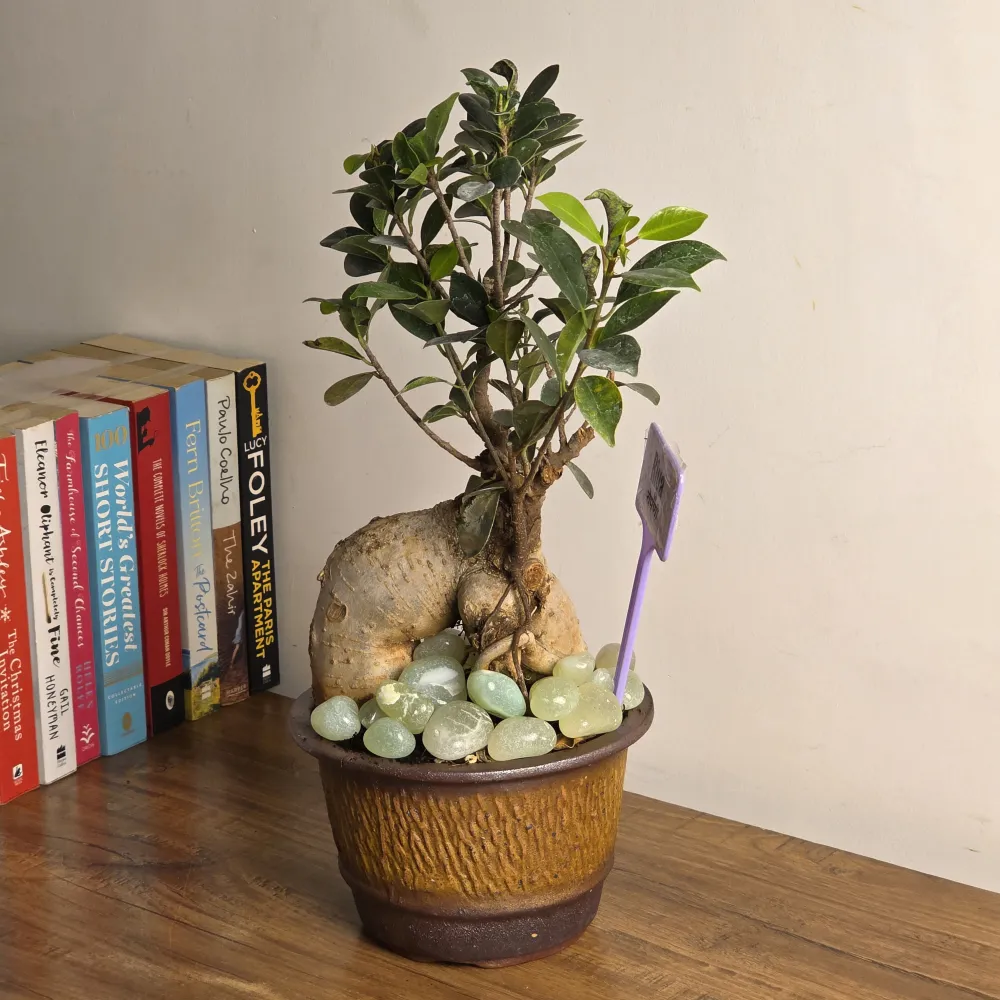 product-gallery