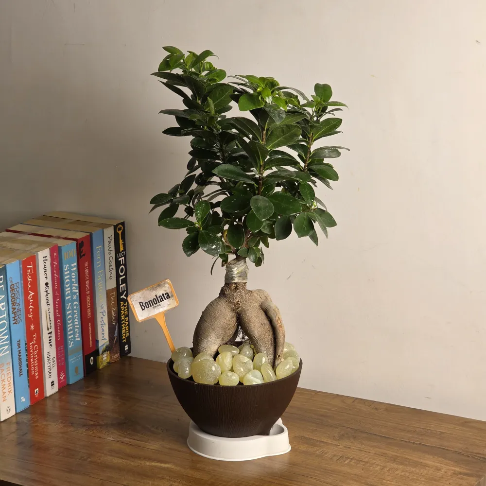 product-gallery