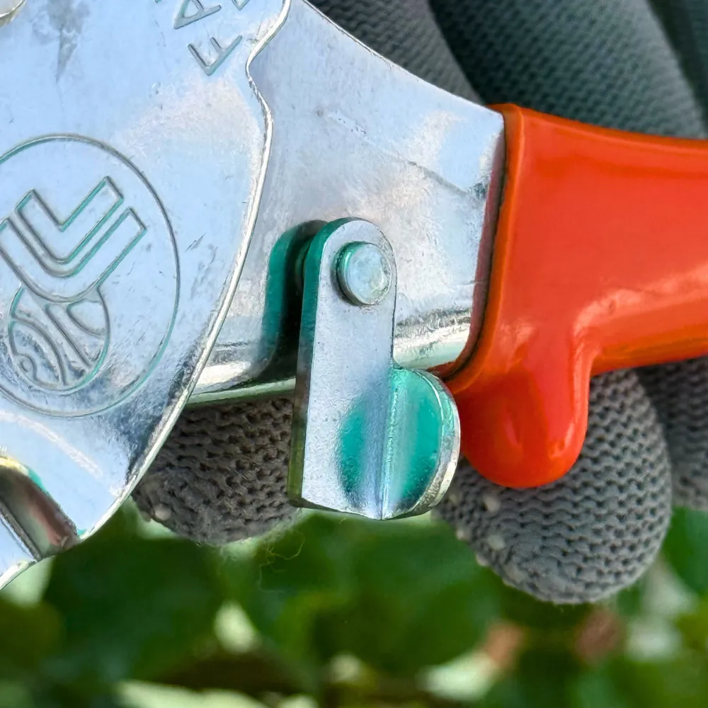 product-gallery