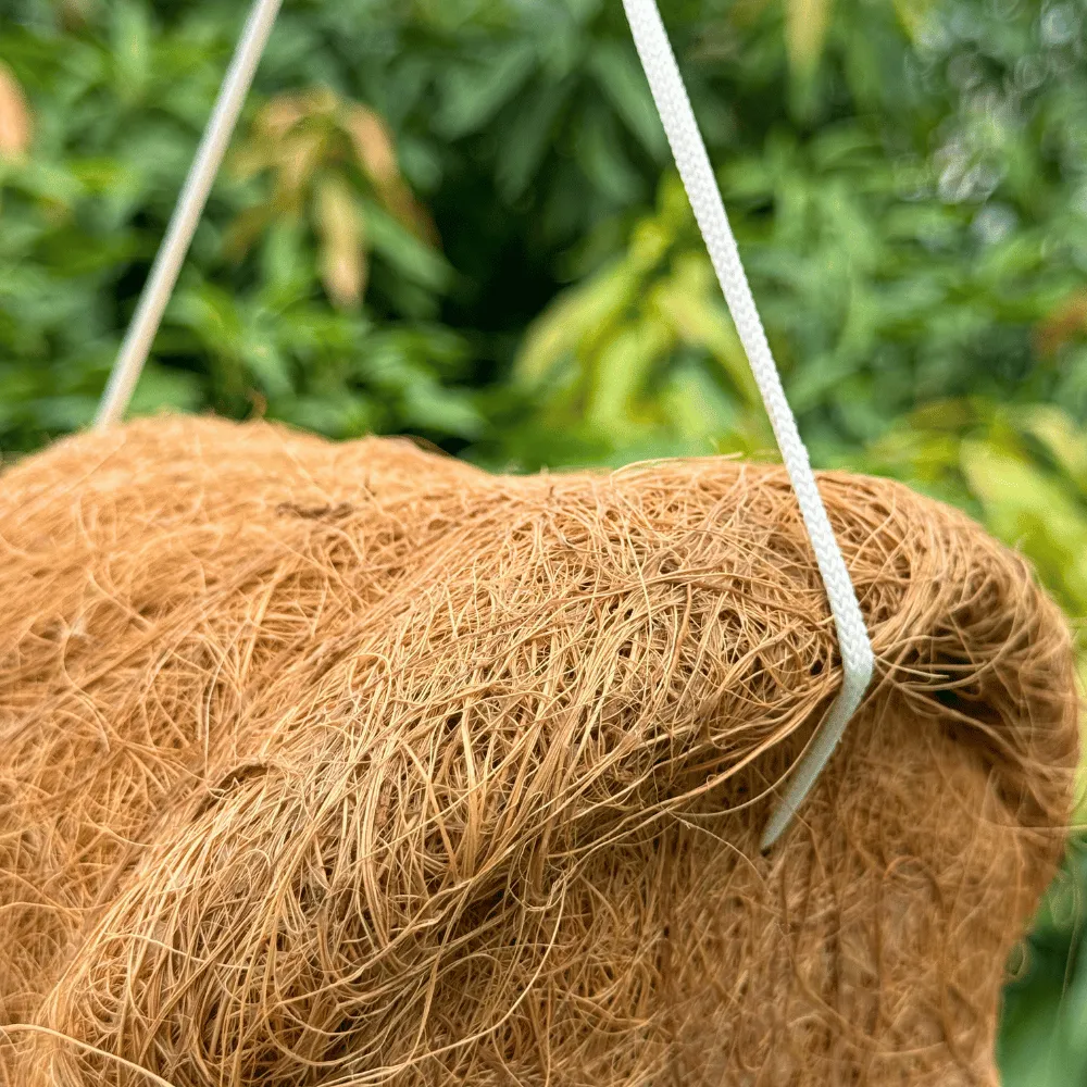 product-gallery